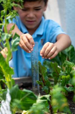 Foto Baleares International College (BIC) Sant Agustí Colegio #2