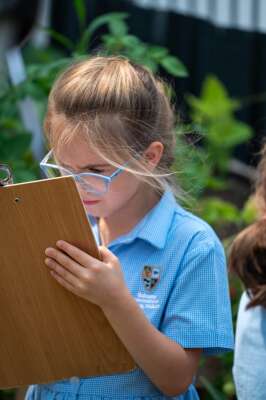 Foto Baleares International College (BIC) Sant Agustí Colegio #2