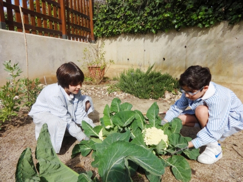 Foto Colegio Sagrat Cor Sarrià #2
