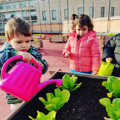 Foto Colegio Escolàpies Llúria #2