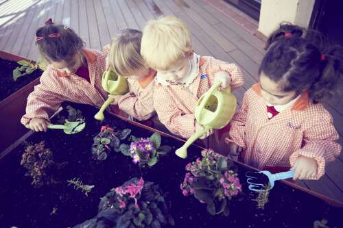 Foto Colegio Lestonnac #2