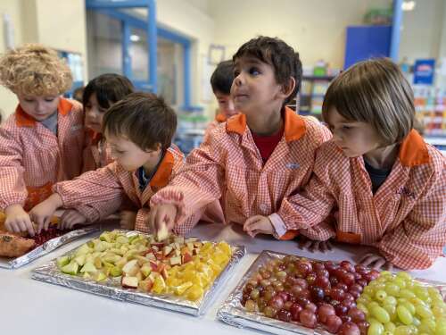 Foto Colegio Lestonnac #2