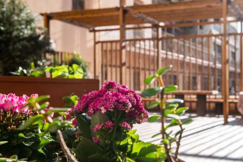 Foto Colegio Lestonnac #2