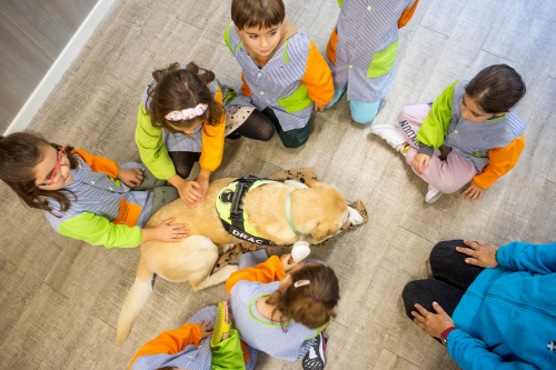 Foto Colegio Dominiques Barcelona #2
