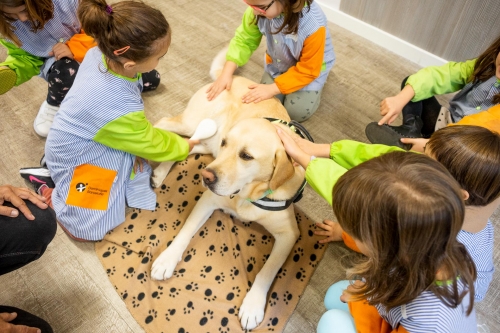 Foto Colegio Dominiques Barcelona #2
