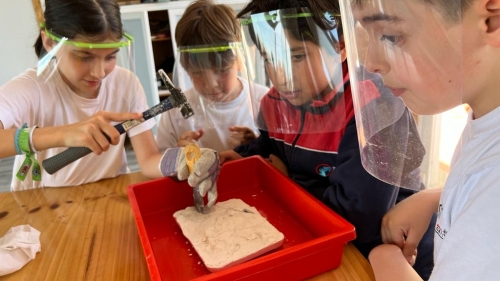 Foto Colegio Sagrat Cor-Esclaves #2