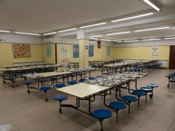 Foto Colegio Sagrada Família #2