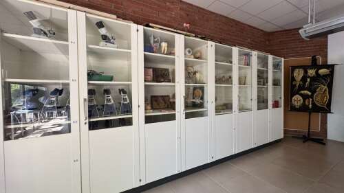 Foto Colegio Alemán de Barcelona / Deutsche Schule Barcelona #2