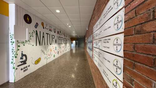 Foto Colegio Alemán de Barcelona / Deutsche Schule Barcelona #2