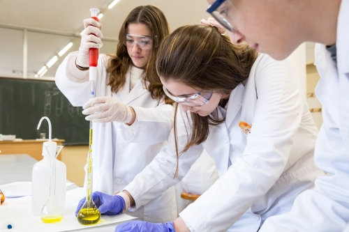 Foto Instituto Ramar 2 ESO #2