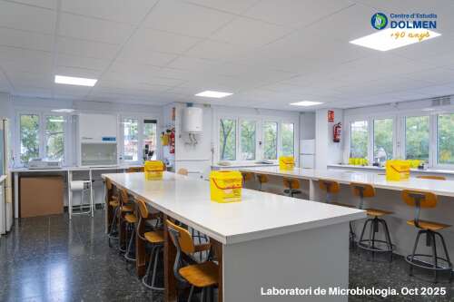 Foto Instituto Dolmen #2