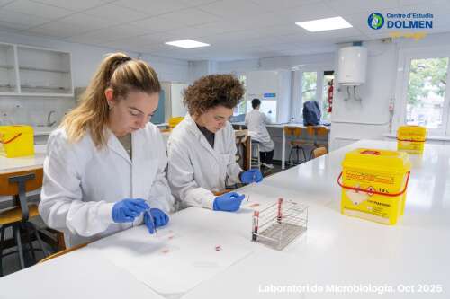 Foto Instituto Dolmen #2