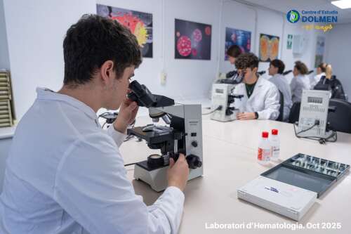 Foto Instituto Dolmen #2