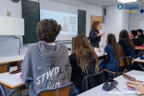 Foto Instituto Dolmen #2