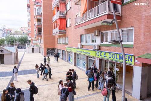 Foto Instituto Dolmen #2