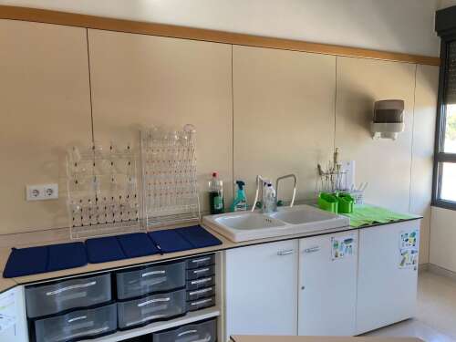 Foto Colegio Col·legi Padre Damián Sagrados Corazones #3