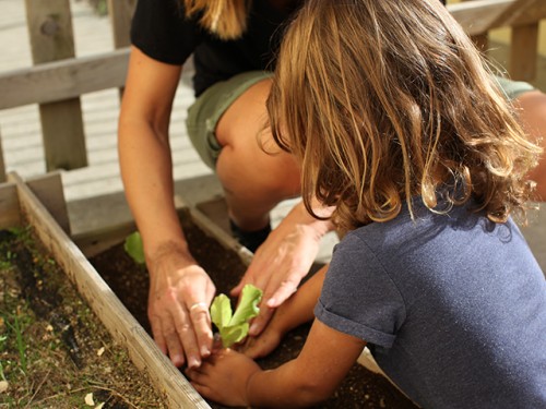 Foto Colegio The Benjamin Franklin International School #2