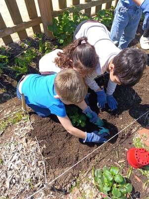 Foto Colegio Montserrat #3