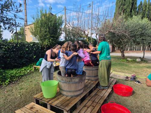 Foto Colegio Montserrat #3