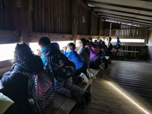 Foto Colegio Montserrat #3