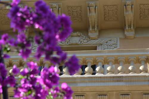 Foto Colegio ZÜRICH SCHULE BARCELONA Colegio Internacional #2