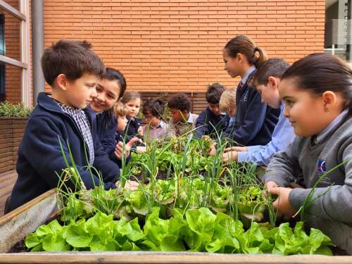 Foto Colegio EUROPEAN INTERNATIONAL SCHOOL OF BARCELONA #2