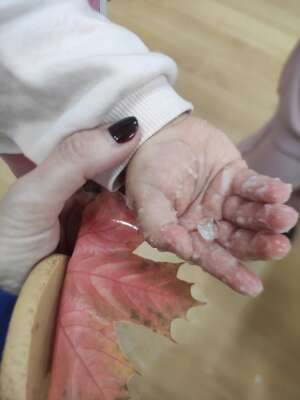 Foto Llar d'infants Quitxalla  Quitxalla #3