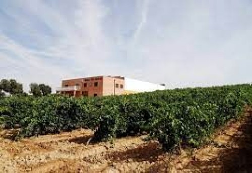 Foto Colegio  San Gabriel #3