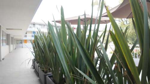 Foto Instituto Tlalpan Primaria y Secundaria Colegio #2