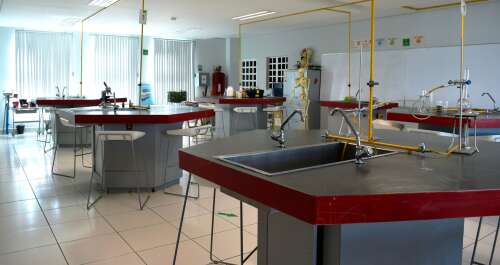 Foto Colegio Internacional De Mexico #2