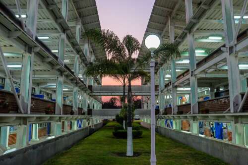 Foto Preparatoria Marista de la CDMX #2