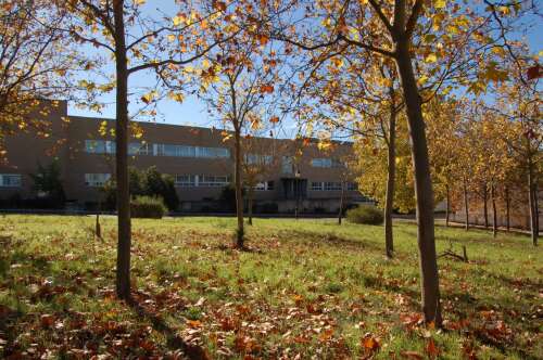 Foto Colegio Concertado San Antonio De Padua (Cáceres) #2
