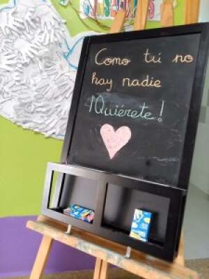 Foto Colegio Serafina Andrades #3