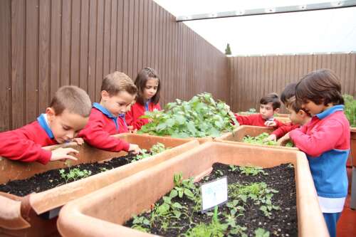 Foto Colegio El Centro Inglés #2