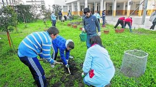 Foto Colegio Gadir #1