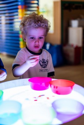 Foto Colegio Sage College- The British International School Of Jerez #2