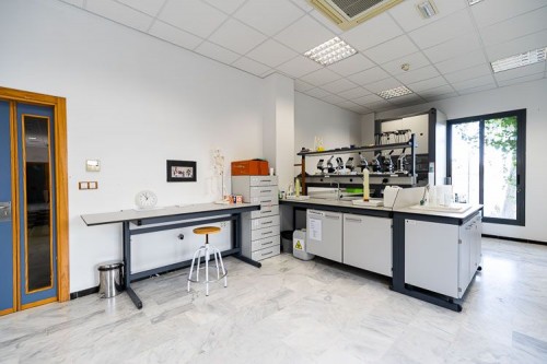 Foto Colegio Sage College- The British International School Of Jerez #2