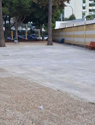 Foto CEIP La Constitución #2