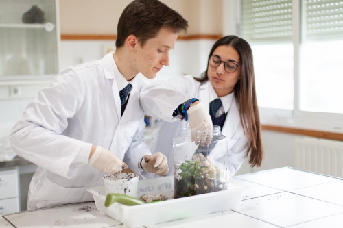 Foto Colegio El Altillo International School #2