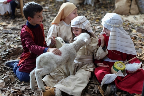 Foto Colegio El Altillo International School #2