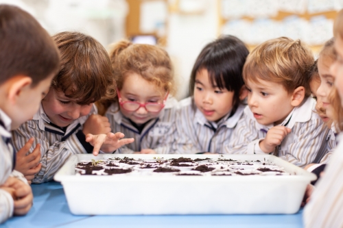 Foto Colegio El Altillo International School #2