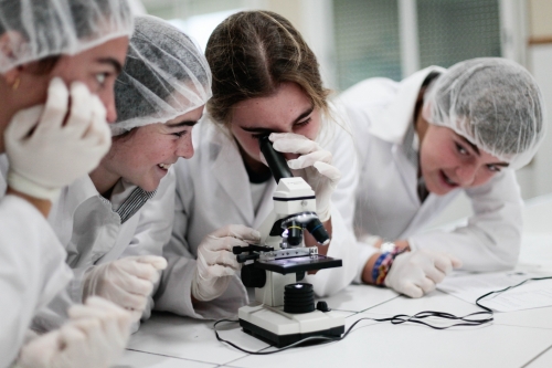 Foto Colegio El Altillo International School #2