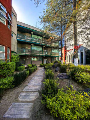 Foto Colegio Nuevo Continente León #3