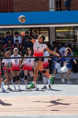 Foto Colegio Manuel Concha #2