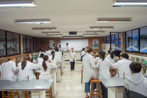 Foto Colegio Manuel Concha #2