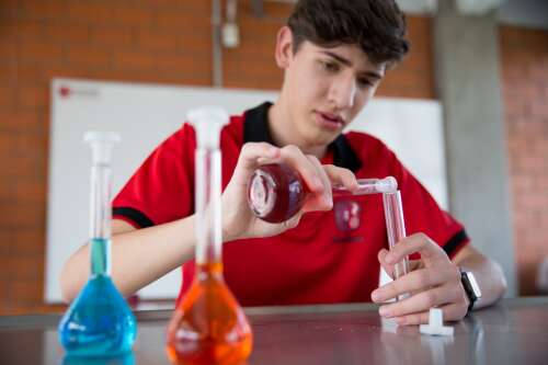 Foto Colegio Alejandro Magno #3