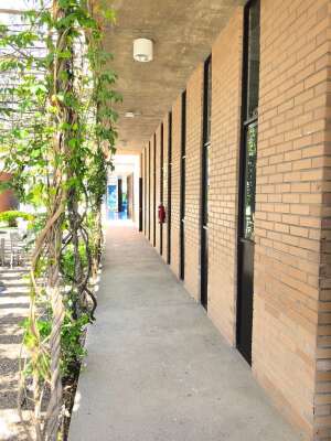 Foto Colegio Nuevo Continente Plantel Celaya #2