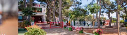 Foto Colegio Liceo Benicàssim #3