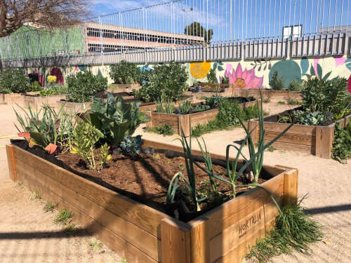 Foto Colegio Pintor Camarón #3