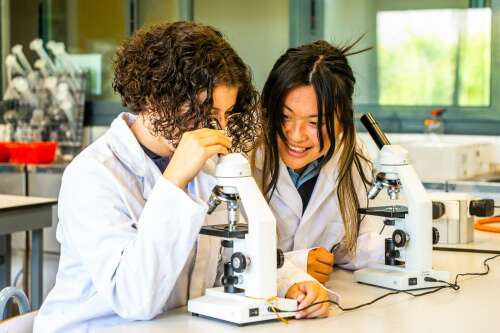 Foto Colegio International English School of Castellón #2